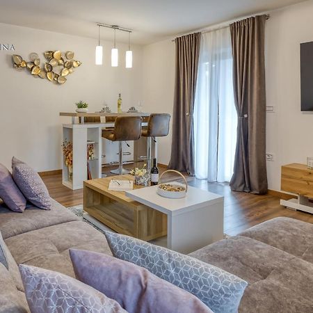Apartment Nina Пазин Екстериор снимка
