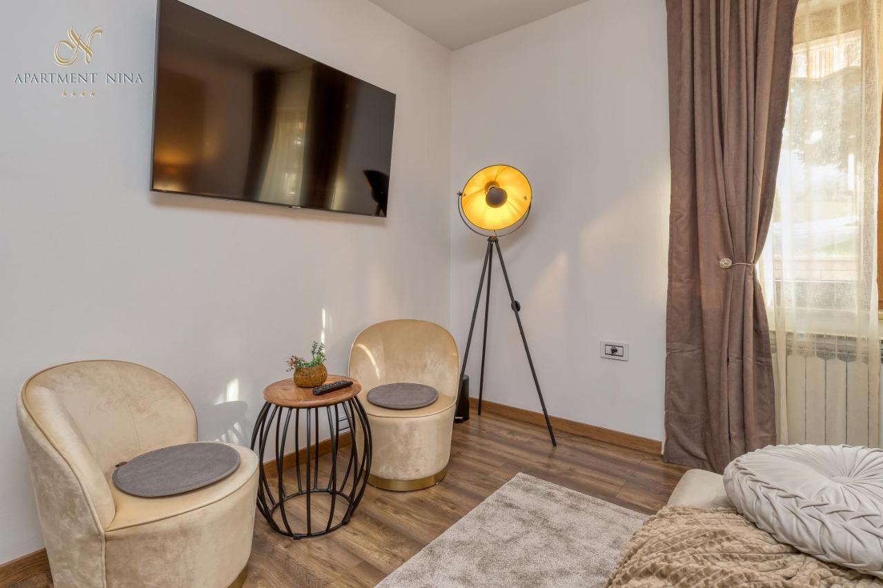 Apartment Nina Пазин Екстериор снимка