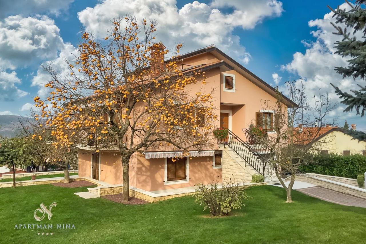 Apartment Nina Пазин Екстериор снимка